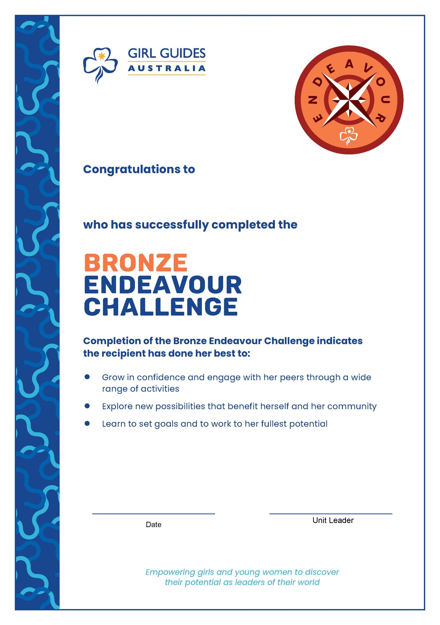 Bronze Endeavour Certificate