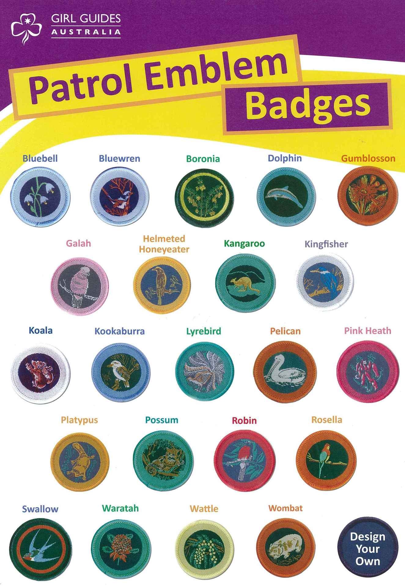 Patrol Emblems Poster