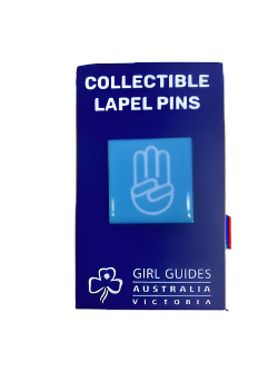 Lapel Pins - Salute
