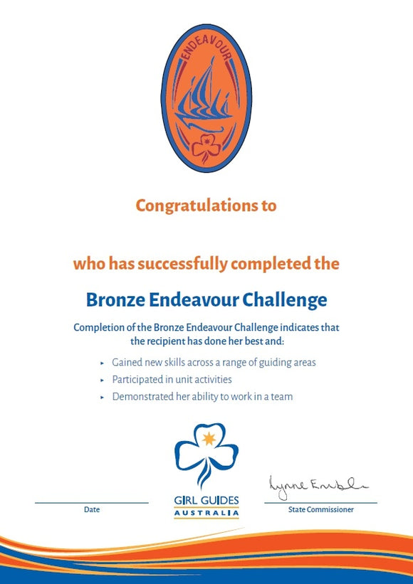 Bronze Endeavour Certificate