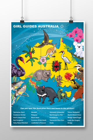 Australian Fauna & Flora Poster